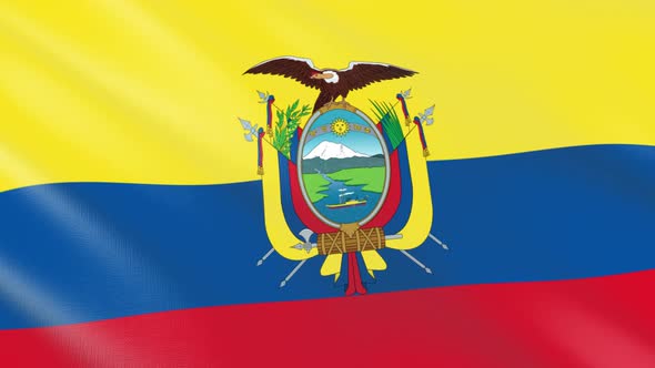 Flag of The Ecuador