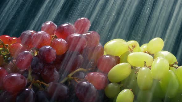 Grapes Are Washed In Water Spray