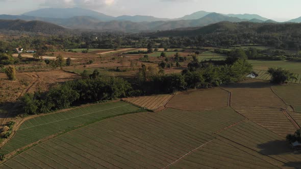 Aerial Footage of Rice Paddies in Pai Thailand