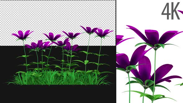 Flower Patch Growing alt