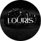 Louris – Watch Store WordPress Theme - ThemeForest Item for Sale