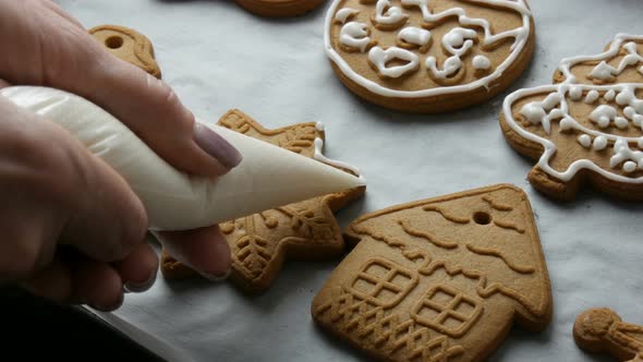 Christmas Holiday Gingerbread Cookie