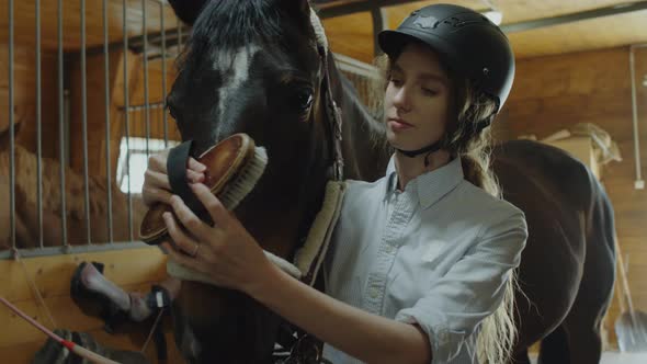 Female Stable Worker Brushing Horse Carefully