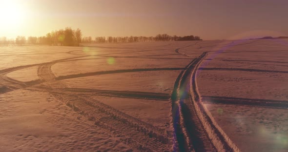 Aerial Drone View of Cold Winter Landscape with Arctic Field Trees Covered with Frost Snow and