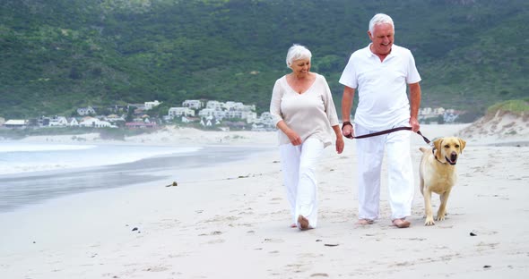 Happy senior couple walking with dog on the beach