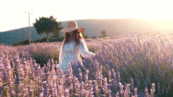 Beautiful Girl on the Lavender Field at Sunset