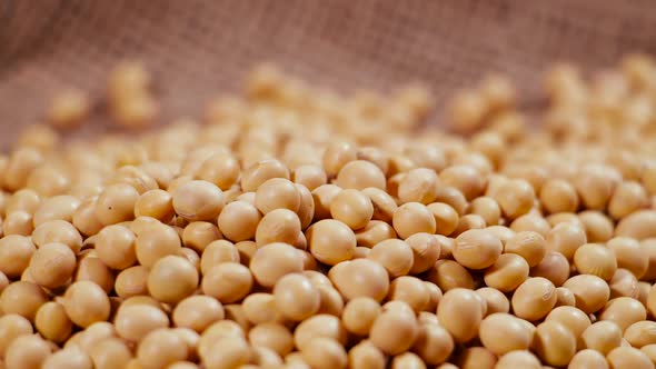 Soybean Top View Texture High in Fiber Supplementary Food Protein Healthy Food Soybeans Organic Raw