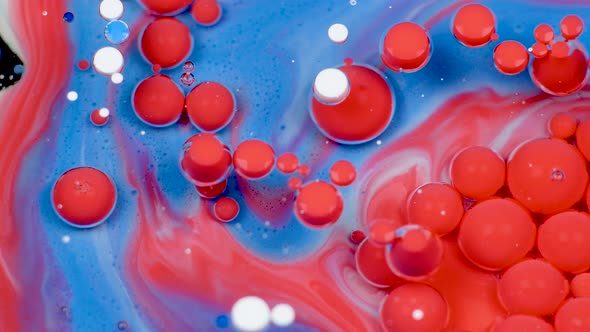 Amazing Red and Blue Bubbles of Paint on the Oil Surface. Paint in Oil