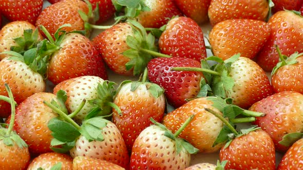 Red Strawberry fruit