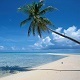 Caribbean Sunny Beaches