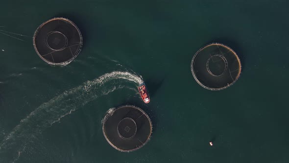 Fish Production Ponds In The Sea