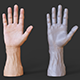 Male Hand Pose - Gesture - 01 - 3DOcean Item for Sale