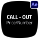 Price & Number Call-Outs - VideoHive Item for Sale