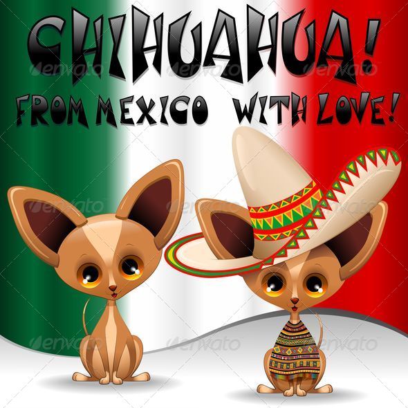 Chihuahua Puppy Dog Cartoon from Mexico