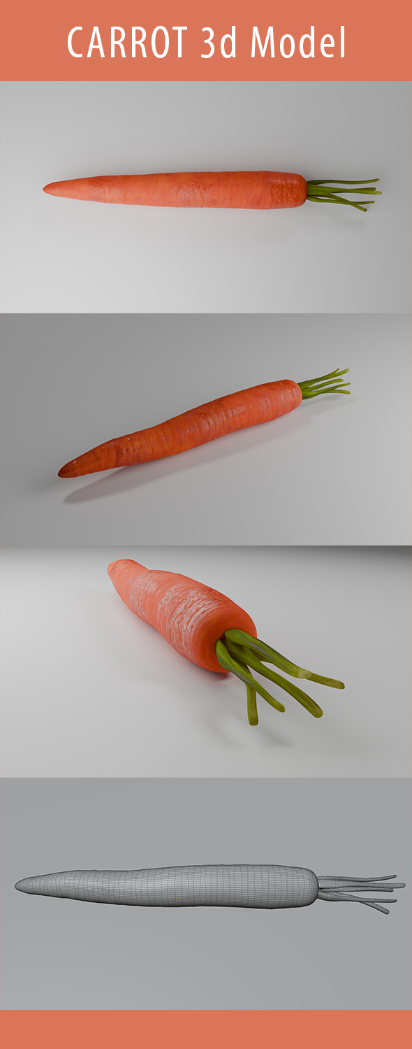Carrot 3d Model