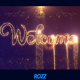 Welcome Gold Lines - VideoHive Item for Sale