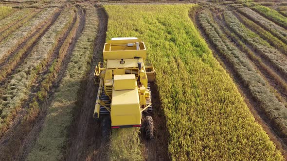 Aerial combine harvester work