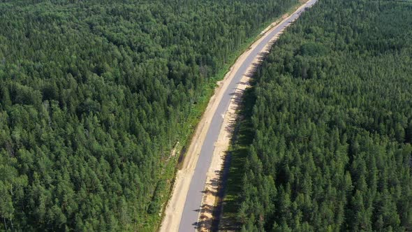 Asphalt Road Through Pine Forest