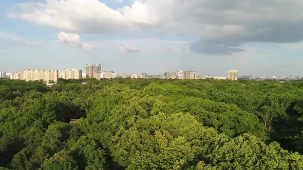 Aerial View a Large Park in a Modern City