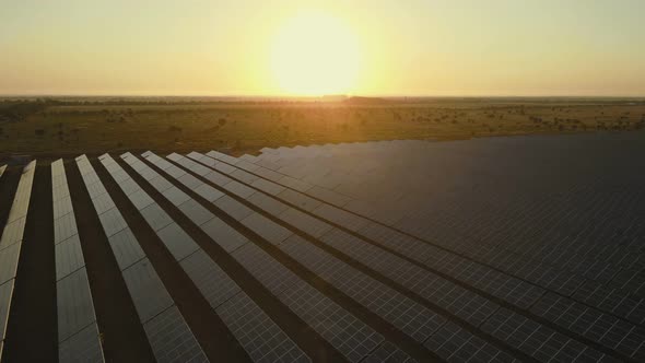 Amazing Sunset Aerial View of Solar Panels Stand in a Row in the Fields Green Energy Landscape