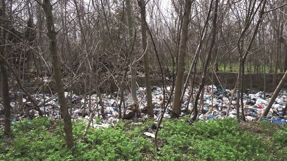 Garbage Dump in Forest