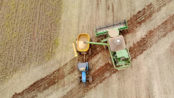 Agricultural tractor harvesting soybeans in the field