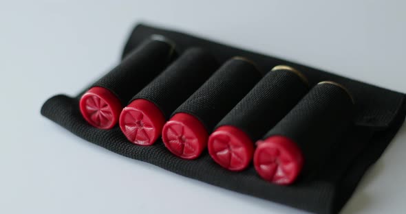 Shotgun shells in a ammo pouch