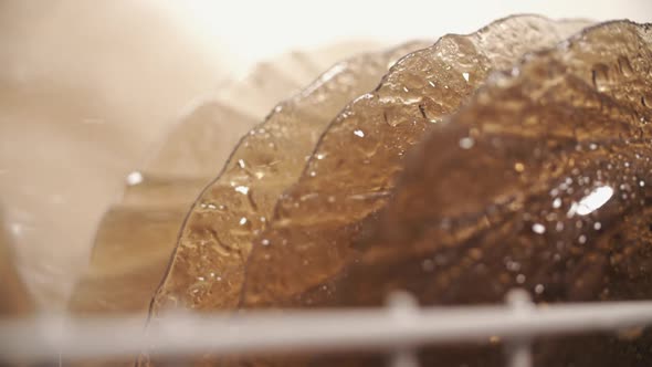 Plates Washes Under Water Spray in Dishwasher Basket