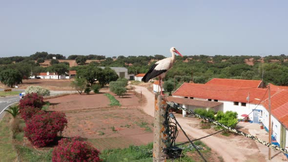 aerial views of Santa Susana village, Alentejo, Portugal 6