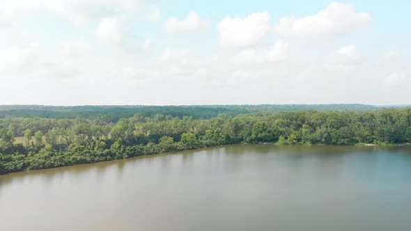 drone flight forward to the horizon and tree line in a forest full of green leaves under a blue sky