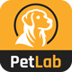 PetLab - On demand Pet Walking Service Platform - CodeCanyon Item for Sale