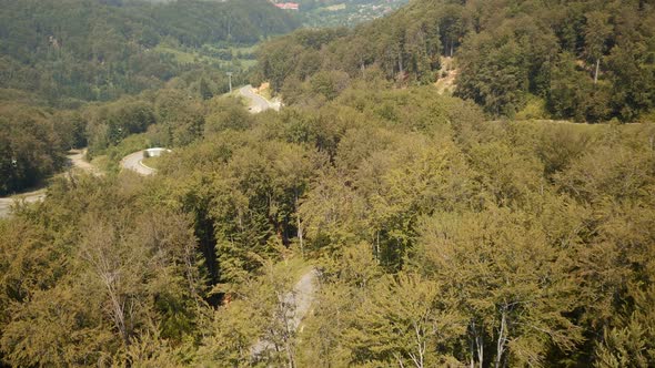 Aerial view of forest in Transylvania