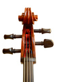 Isolated Cello Head - PhotoDune Item for Sale