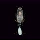 Calanoid Copepod, Family Corycaeidae Under a Microscope, Found in the Atlantic Ocean, in the Video - VideoHive Item for Sale