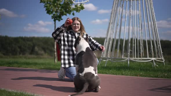 Joyful Beautiful Young Woman Supporting Dog Catching Ball in City Park Outdoors