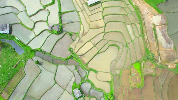 Aerial view of drones flying over rice terraces