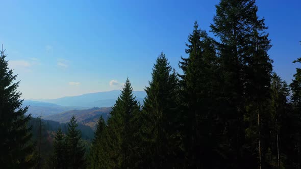 Aerial Drone Video Flying Over Carpathians Mountains, Ukraine, Europe