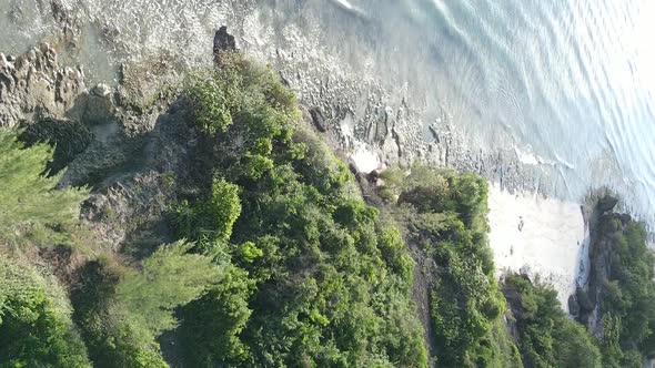 Zanzibar Tanzania  Ocean Shore Covered with Green Thickets Vertical Video Aerial View