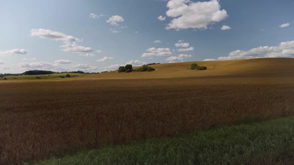 Gravel road between agricultural fields in summer