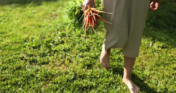 Woman Walk and Holding in Hand Branch of Raw Organic Carrots