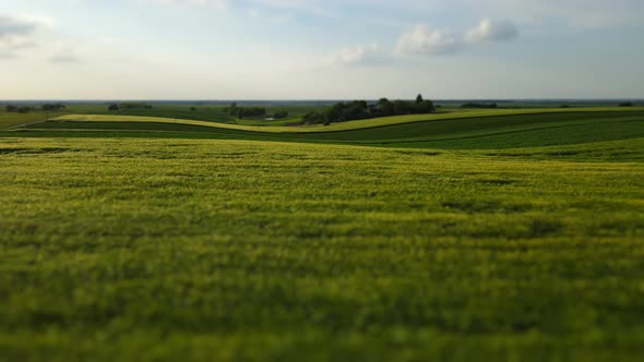 Aerial Shot Of The Countryside Over The Grain Fields Of Ukraine. Agriculture