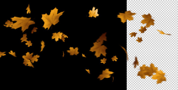 Flying Leaves 2 (60 FPS) alt