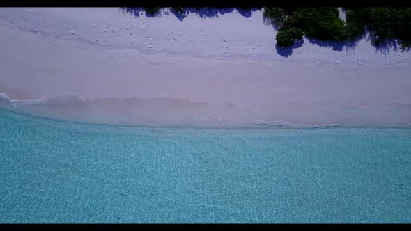 Aerial drone shot scenery of relaxing tourist beach wildlife by aqua blue ocean with white sandy bac