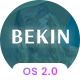 Bekin - Lingerie & Bikini Store Shopify 2.0 Theme - ThemeForest Item for Sale