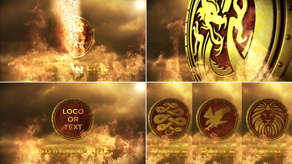 Dragon Fire Logo