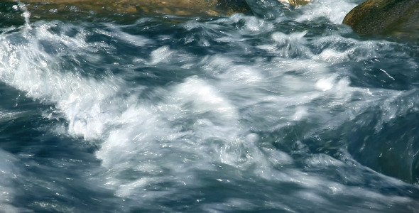 Mountain River in the Forest / Videohive