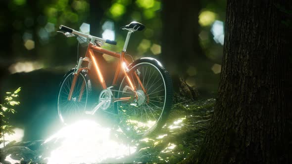 Mountain Bike on the Forest Path alt