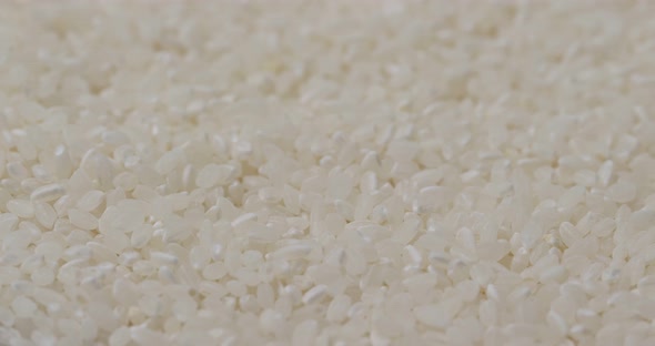 Uncooked white rice