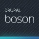 Boson - Responsive Multi-Purpose Drupal theme - ThemeForest Item for Sale