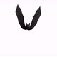 Bat Flying 4K Looped - VideoHive Item for Sale
